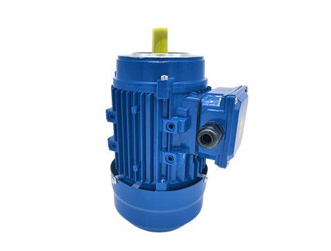 微型定速電機(jī) 微型定速電機(jī)